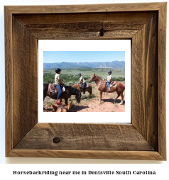 horseback riding near me in Dentsville, South Carolina